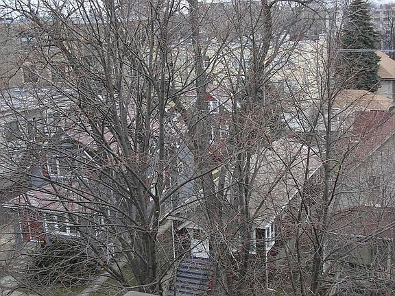 balcony view