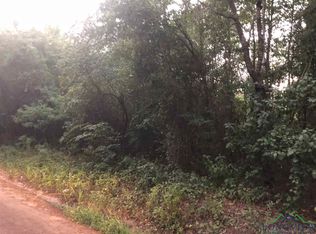 0 Jonquil Rd, Diana, TX 75640