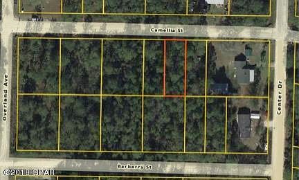 2nd image of 12024 Camellia St