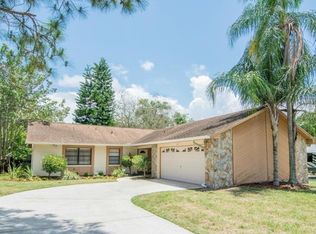1007 Classic Dr, Valrico, FL 33594