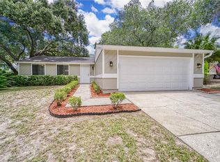 2863 Honey Bear Ct, Palm Harbor, FL 34684