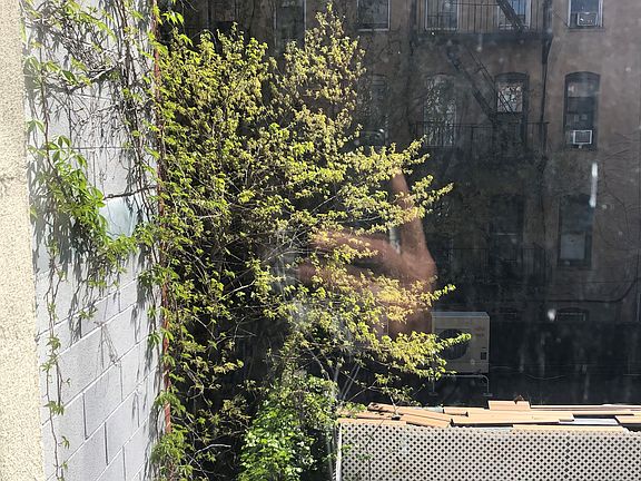 4th image of 158 E 100th St APT 3RL
