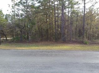 11132 Thrasher Ave, Weeki Wachee, FL 34614