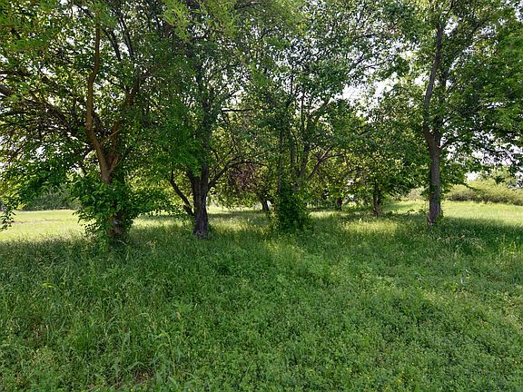 3rd image of Contrary Creek Rd