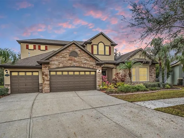19116 Sweet Clover Ln, Tampa, FL 33647