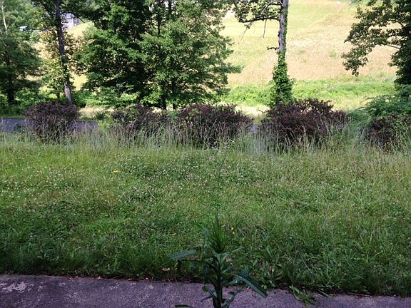 5th image of 345 Oak Ln
