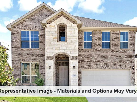 Alder with Elevation T