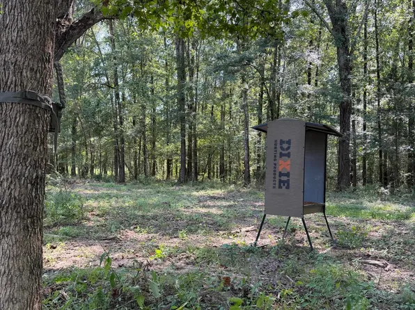 Potluck Rd, Canton, MS 39046