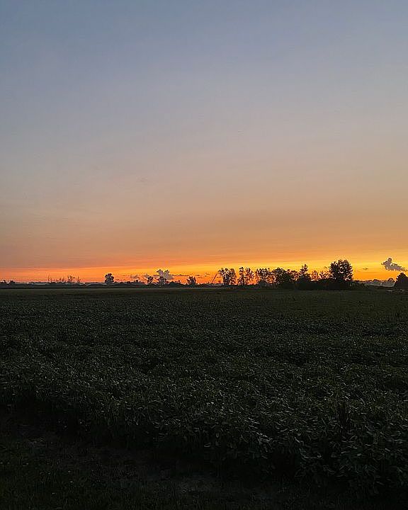 Sunrise from the property!