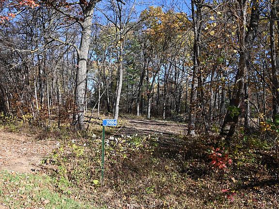 2nd image of 39884 Pine Island Point Dr