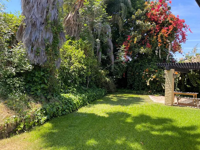 830 Hacienda Dr — Photo 10