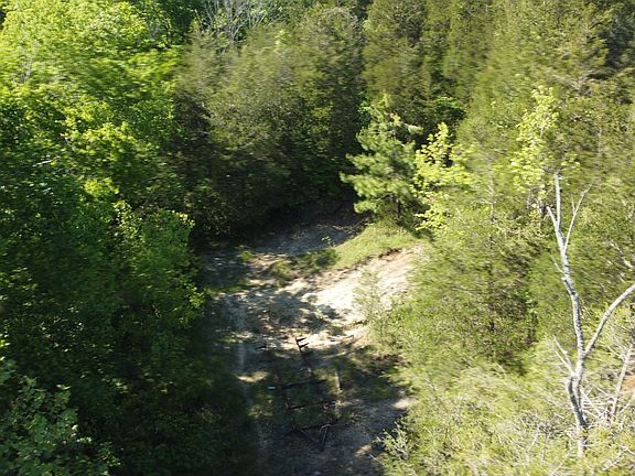 5th image of 738 Rogues Fork Rd