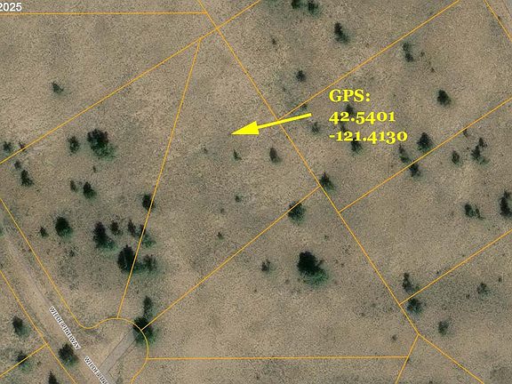 5th image of Wildpine Way #6