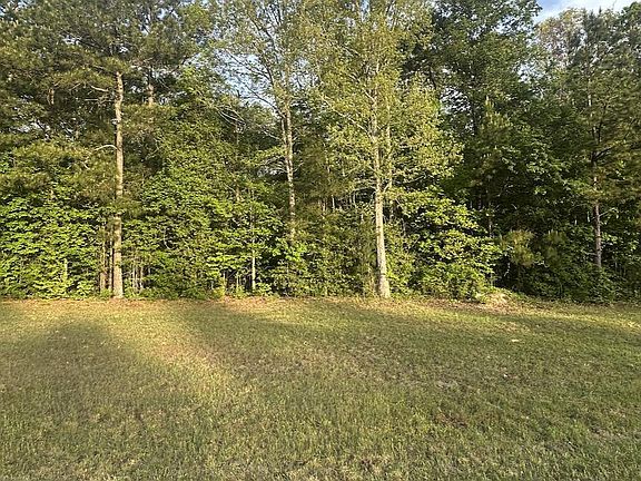 3rd image of 0 L Cooper Rd
