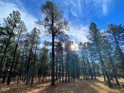 7508 Tall Pine Dr, Pinetop, AZ, 85935