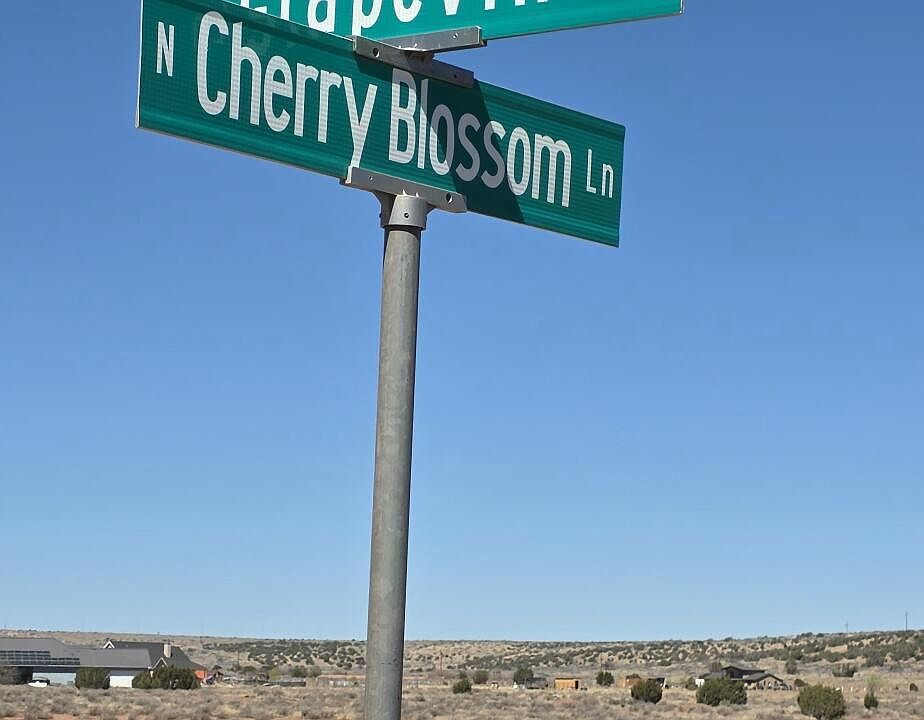1st image of N Cherry Blossom Ln