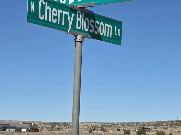 N Cherry Blossom Ln, Snowflake, AZ 85937