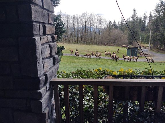 Abundance of amazing wildlife