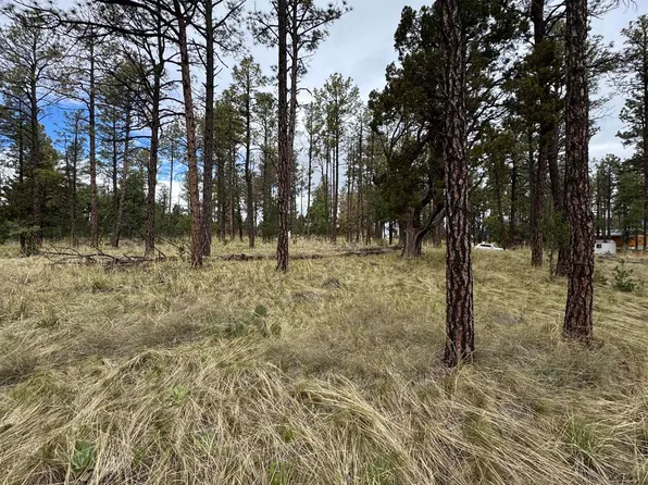 25 Oakmont Dr #7, Timberon, NM 88350