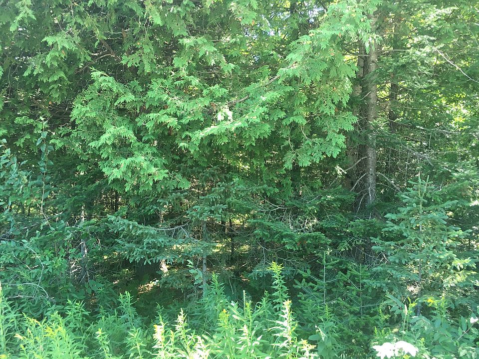 2nd image of County Road 366