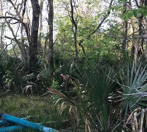 2nd image of 0 E Live Oak Rd