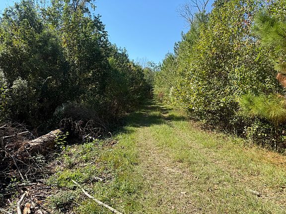 2nd image of Tbd Scallon Rd