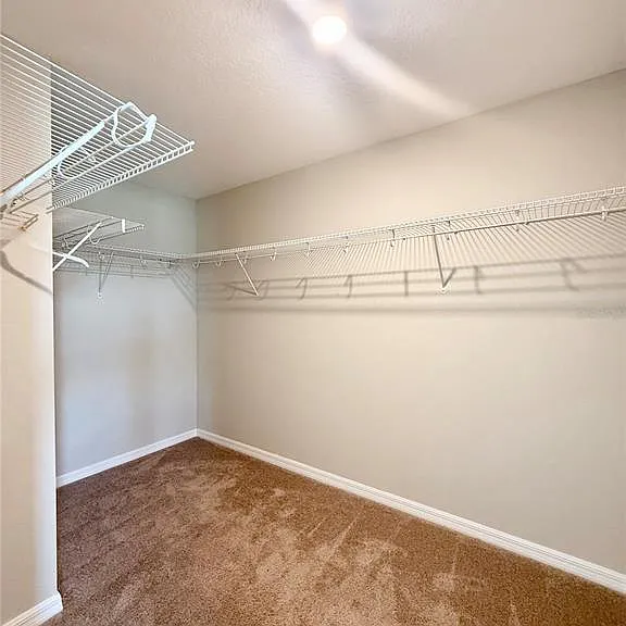30877 Quail Caper Cir — Photo 10