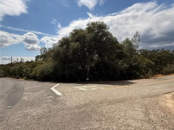 10357 Tulipan Way #174, Coulterville, CA 95311