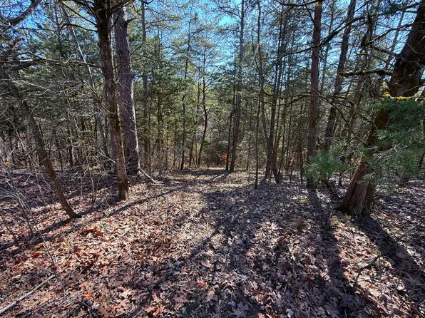 Buck Horn Rd, Dandridge, TN 37725