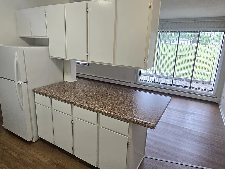 4110 Rahn Rd #101B — Photo 10