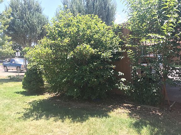 Front lawn