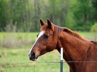 266 Barnes Rd, Medina, TN 38355