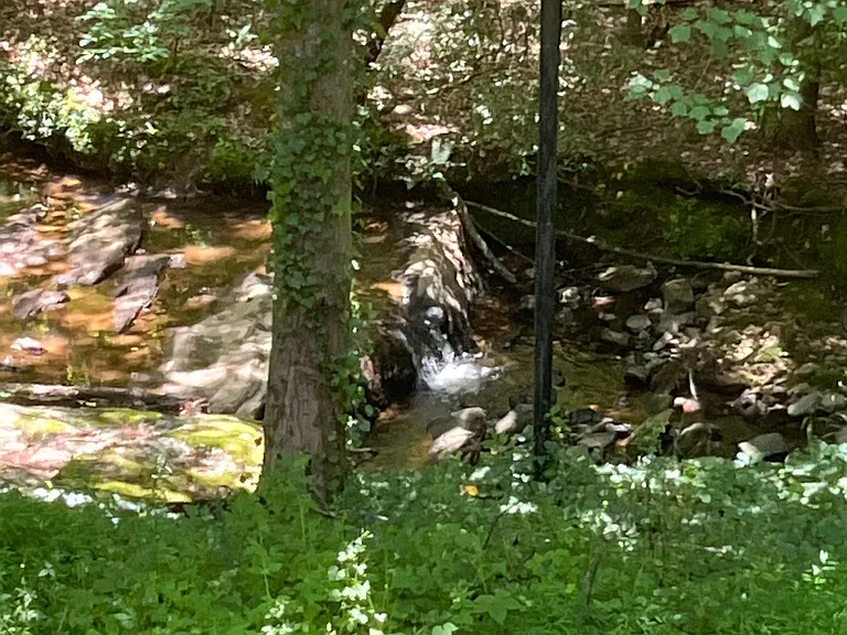 View of Owl Creek from deck