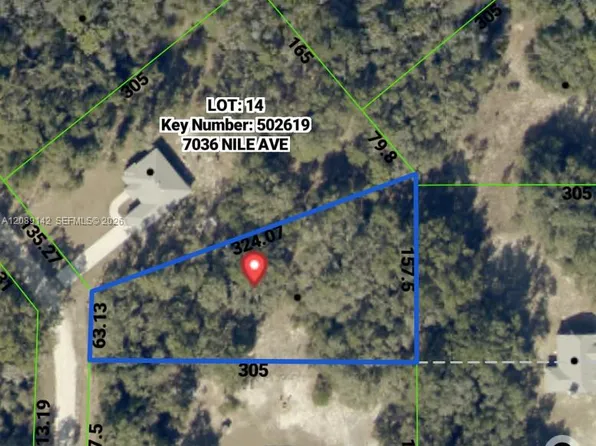 0 Nile Ave, Webster, FL 33597