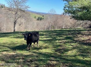 Boones Path Rd, Rose Hill, VA 24281