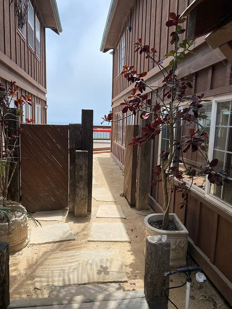 6585 Del Playa — Photo 3