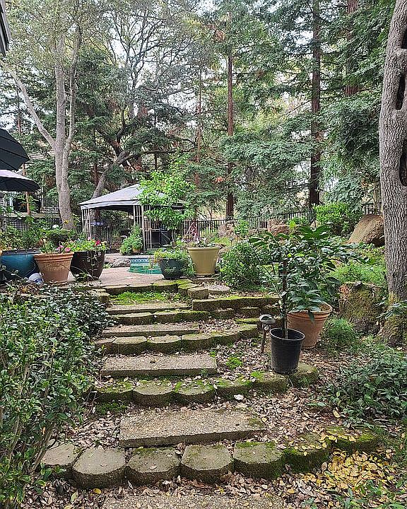 Yard from back gate