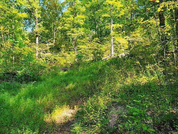 5th image of LOT 5 Mel Hall Rd