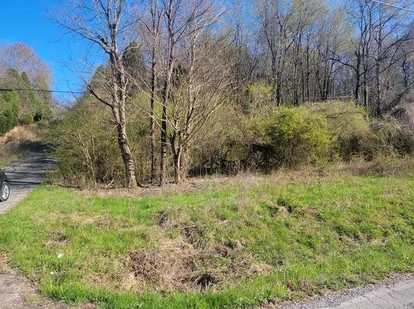 0 Hinch St, Spring City, TN 37381