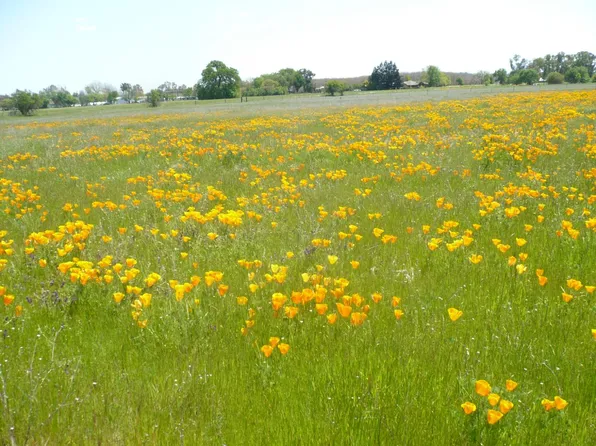 87 Cr, Winters, CA 95694