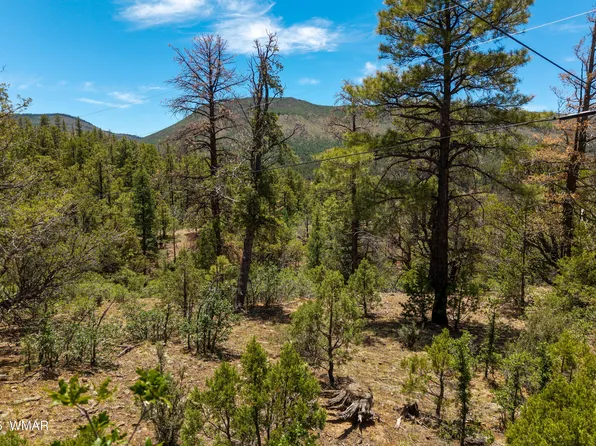 34 County Road 2279, Nutrioso, AZ 85932