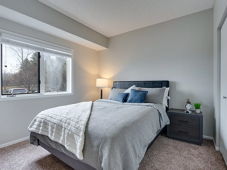 Renovated Bedroom With Lots Of Natural Light