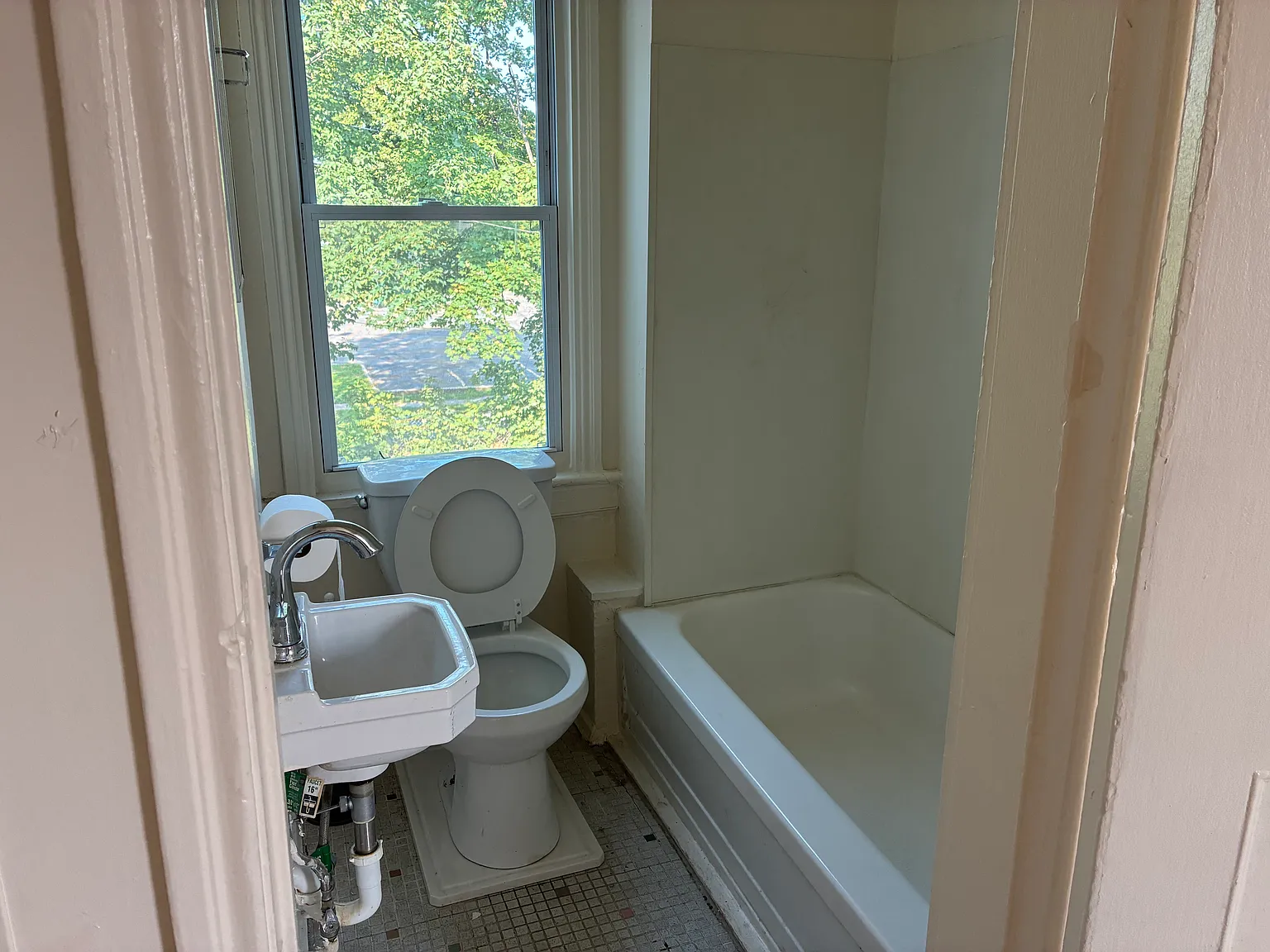 Studio, $900 — Photo 4