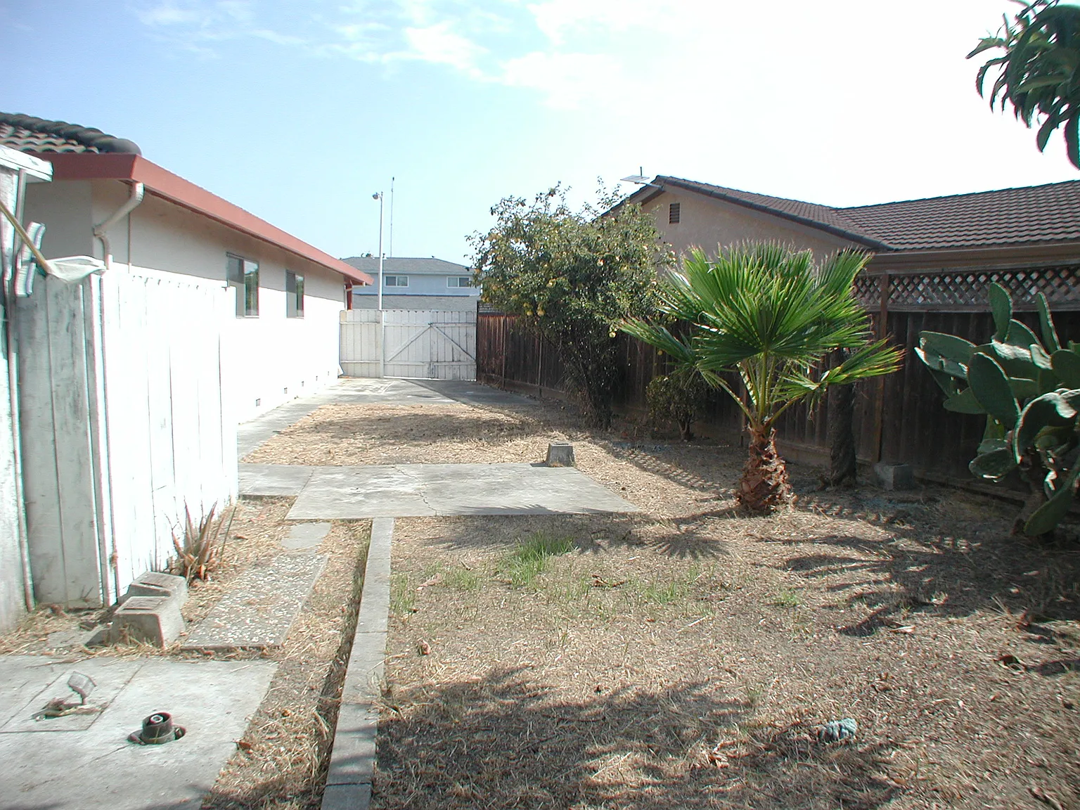 38885 Jonquil Dr photo 1