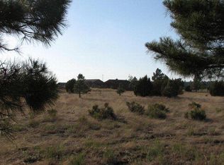 2738 Zane Grey Blvd, Overgaard, AZ 85933