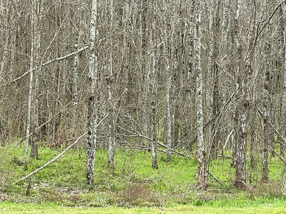 0 Chalybeate Springs Rd, Plain Dealing, LA 71064 MLS 20552561 Zillow