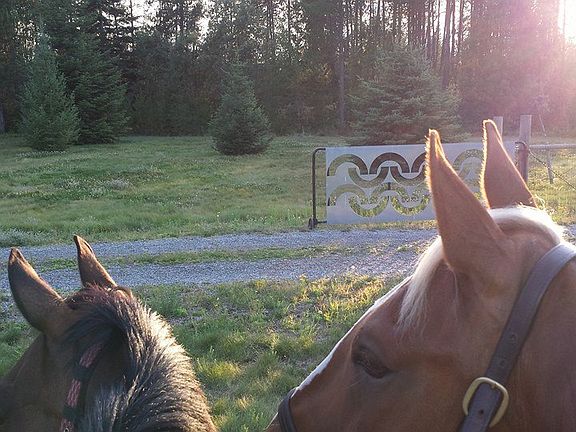 Front entry gate/driveway