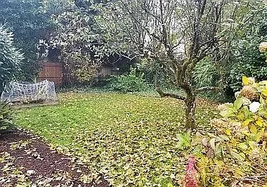 Portion of back yard in winter. Other areas in back of home contain garden areas and hammock spaces.
