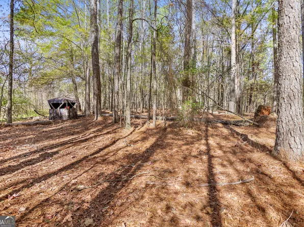 20.14 Drew Allen Rd, Williamson, GA 30292