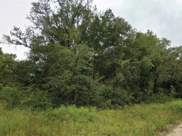 NE 2ND PLACE LOT 18, WILLISTON, FL 32696